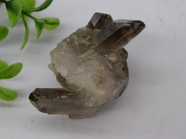 Cluster of Smoky Quartz Crystals Rock Stone Lapidary Specimen