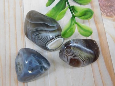 BOTSWANA AGATE ROCK STONE LAPIDARY SPECIMEN