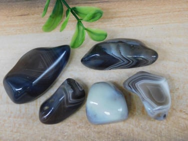 BOTSWANA AGATE ROCK STONE LAPIDARY SPECIMEN