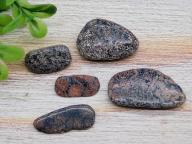 ROCK STONE LAPIDARY SPECIMEN