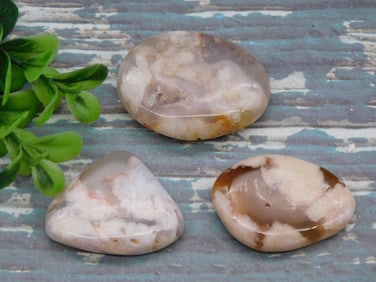 FLOWER PETAL AGATE ROCK STONE LAPIDARY SPECIMEN