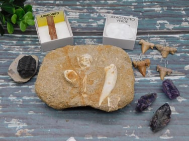 MIXED LOT ROCK STONE LAPIDARY SPECIMEN