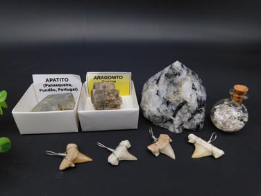 MIXED LOT ROCK STONE LAPIDARY SPECIMEN