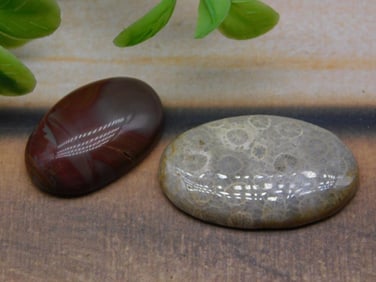 CABOCHONS ROCK STONE LAPIDARY SPECIMEN