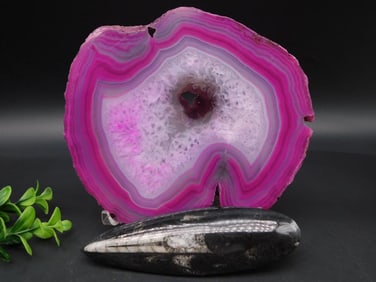 MIXED LOT ROCK STONE LAPIDARY SPECIMEN