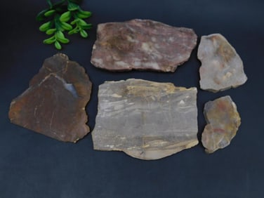 SLABS ROCK STONE LAPIDARY SPECIMEN