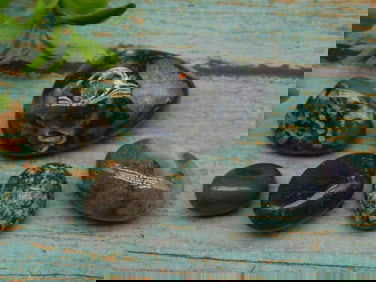 MIXED LOT ROCK STONE LAPIDARY SPECIMEN