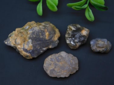 ELLENSBURG AGATE ROCK STONE LAPIDARY SPECIMEN