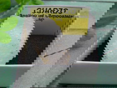 CUARZO ROCK STONE LAPIDARY SPECIMEN