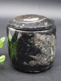 ORTHOCERAS TRINKET BOX ROCK STONE LAPIDARY SPECIMEN