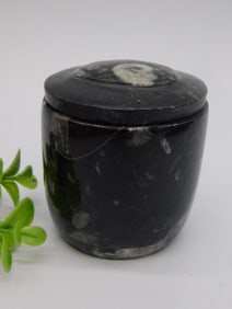 ORTHOCERAS TRINKET BOX ROCK STONE LAPIDARY SPECIMEN