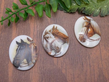 HORSE CABOCHONS ROCK STONE LAPIDARY SPECIMEN
