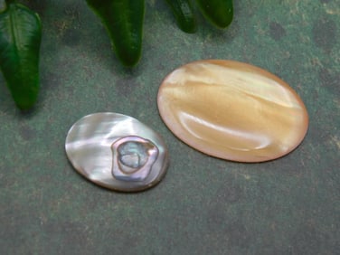 ABALONE CABOCHONS ROCK STONE LAPIDARY SPECIMEN