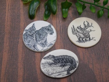 SCRIMSHAW CABOCHONS ROCK STONE LAPIDARY SPECIMEN