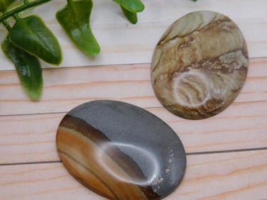 JASPER CABOCHONS ROCK STONE LAPIDARY SPECIMEN