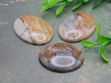 JASPER CABOCHONS ROCK STONE LAPIDARY SPECIMEN