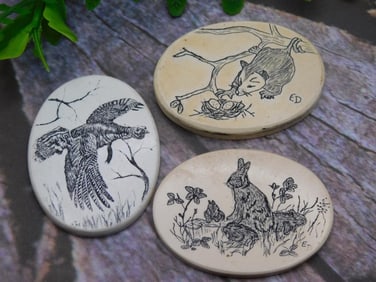 SCRIMSHAW CABOCHONS ROCK STONE LAPIDARY SPECIMEN