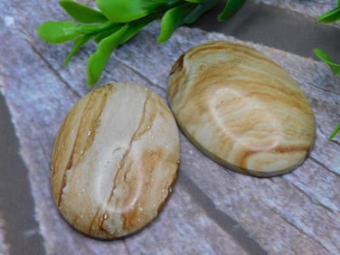 JASPER CABOCHONS ROCK STONE LAPIDARY SPECIMEN