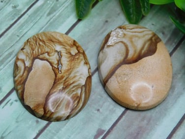 JASPER CABOCHONS ROCK STONE LAPIDARY SPECIMEN