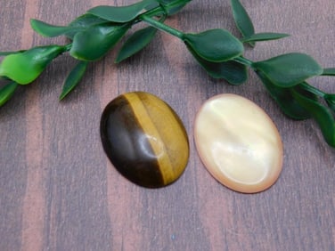 CABOCHONS ROCK STONE LAPIDARY SPECIMEN