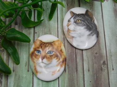 CAT CABOCHONS ROCK STONE LAPIDARY SPECIMEN
