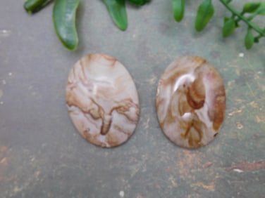 JASPER CABOCHONS ROCK STONE LAPIDARY SPECIMEN