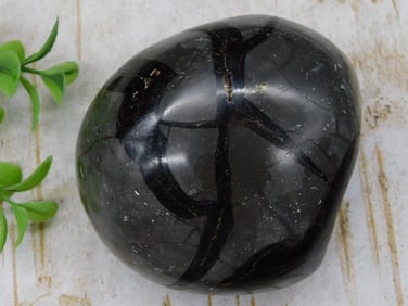 SEPTARIAN DRAGON EGG ROCK STONE LAPIDARY SPECIMEN
