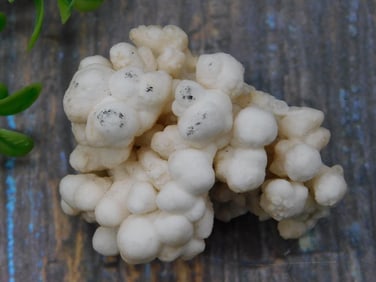 CAULIFLOWER CALCITE ROCK STONE LAPIDARY SPECIMEN