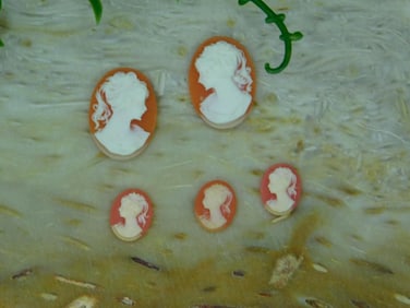 CAMEO CABOCHONS ROCK STONE LAPIDARY SPECIMEN