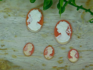 CAMEO CABOCHONS ROCK STONE LAPIDARY SPECIMEN