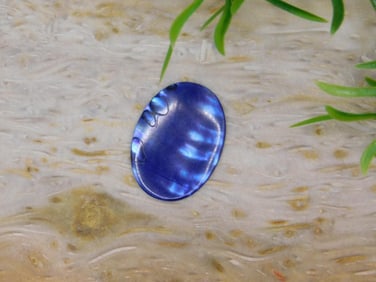 ABALONE CABOCHON ROCK STONE LAPIDARY SPECIMEN