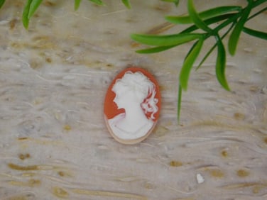 CAMEO CABOCHON ROCK STONE LAPIDARY SPECIMEN