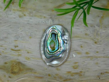 ABALONE CABOCHON ROCK STONE LAPIDARY SPECIMEN