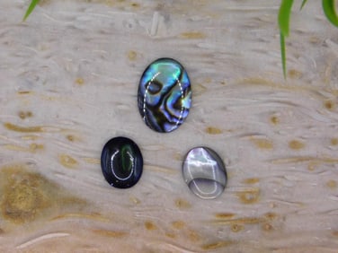 ABALONE CABOCHON ROCK STONE LAPIDARY SPECIMEN