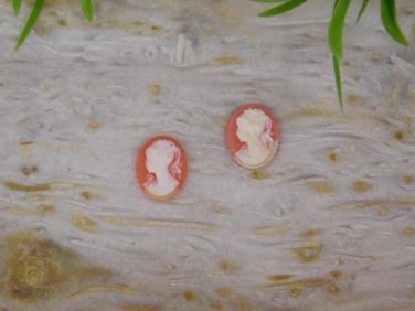 CAMEO CABOCHONS ROCK STONE LAPIDARY SPECIMEN