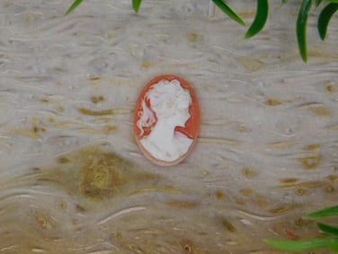 CAMEO CABOCHON ROCK STONE LAPIDARY SPECIMEN