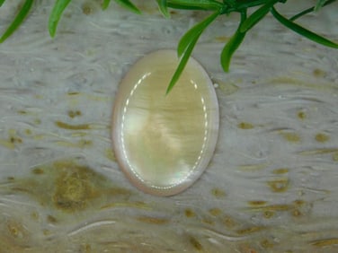 CABOCHON ROCK STONE LAPIDARY SPECIMEN