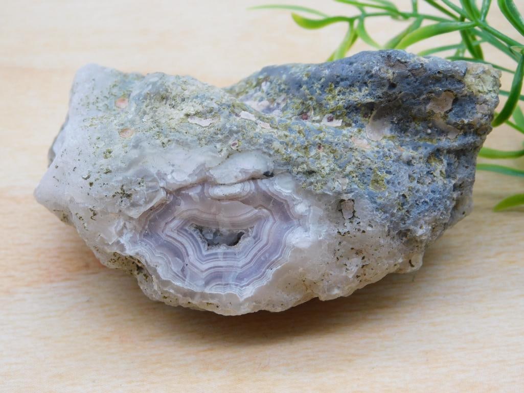 MEXICAN AGATE ROCK STONE LAPIDARY SPECIMEN: MEXICAN AGATE ROCK STONE LAPIDARY SPECIMEN