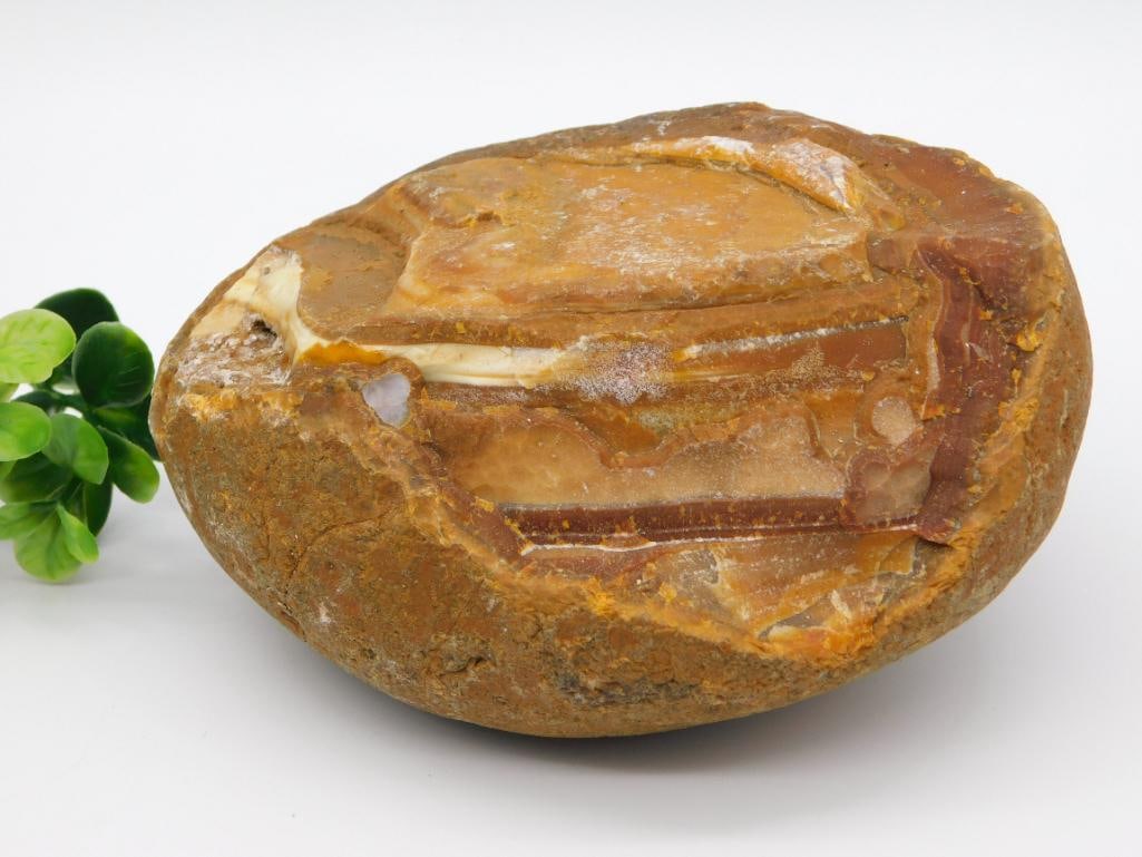 2 POUND AGATE ROCK STONE LAPIDARY SPECIMEN: 2 POUND AGATE ROCK STONE LAPIDARY SPECIMEN