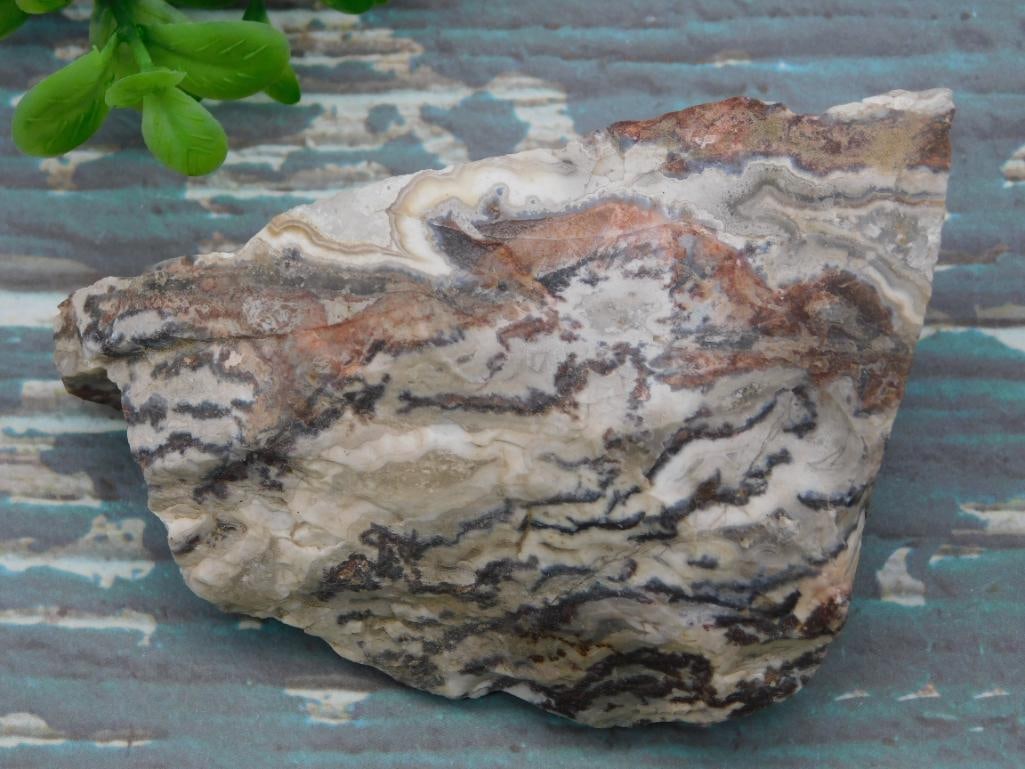 MEXICAN LACE ROCK STONE LAPIDARY SPECIMEN: MEXICAN LACE ROCK STONE LAPIDARY SPECIMEN