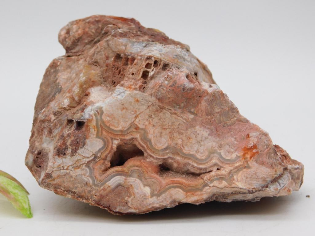 2 POUND MEXICAN LACE AGATE ROCK STONE LAPIDARY SPECIMEN: 2 POUND MEXICAN LACE AGATE ROCK STONE LAPIDARY SPECIMEN