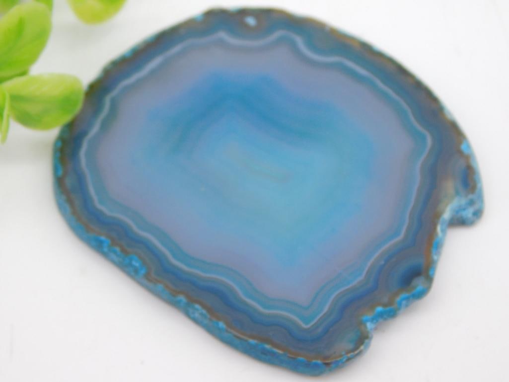 AGATE SLICE ROCK STONE LAPIDARY SPECIMEN: AGATE SLICE ROCK STONE LAPIDARY SPECIMEN