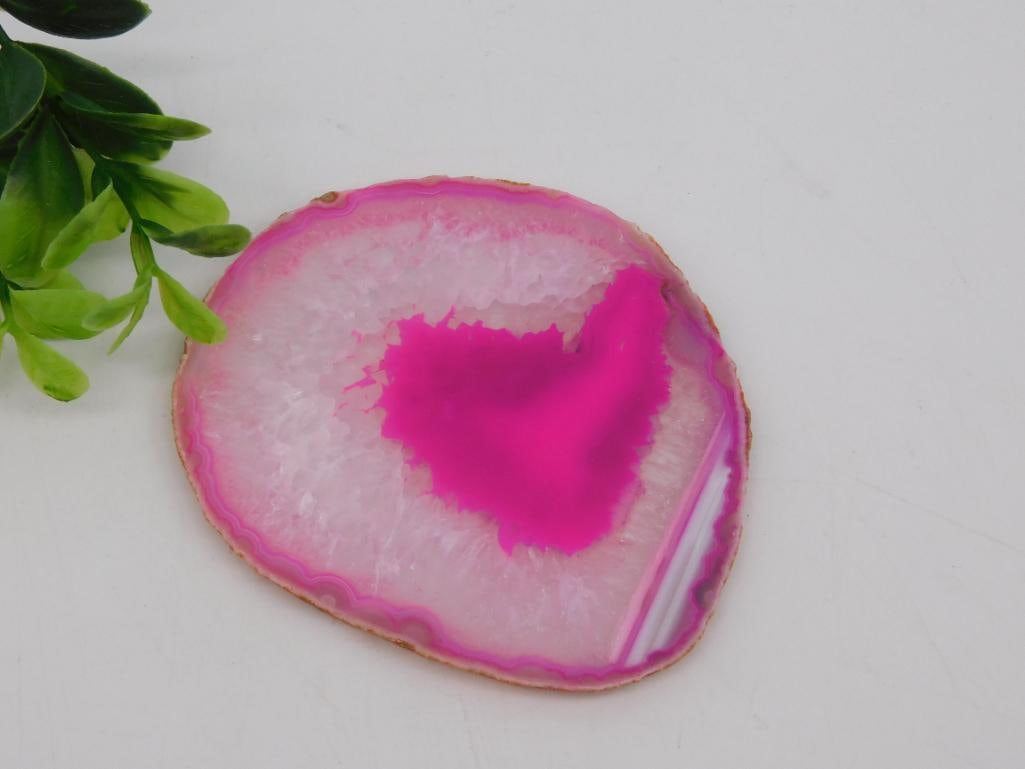 AGATE SLICE ROCK STONE LAPIDARY SPECIMEN: AGATE SLICE ROCK STONE LAPIDARY SPECIMEN