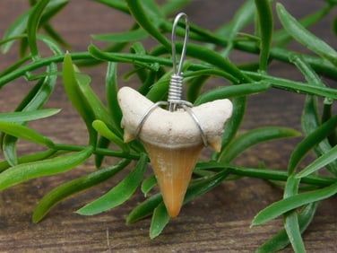 SPECIAL JEWELRY SALE! SEE PHOTOS FOR DETAILS