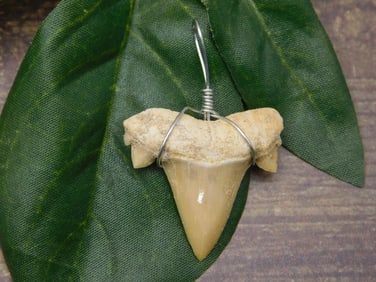 SPECIAL JEWELRY SALE! SEE PHOTOS FOR DETAILS