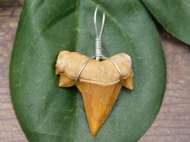 SPECIAL JEWELRY SALE! SEE PHOTOS FOR DETAILS