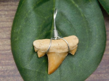 SPECIAL JEWELRY SALE! SEE PHOTOS FOR DETAILS