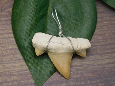 SPECIAL JEWELRY SALE! SEE PHOTOS FOR DETAILS