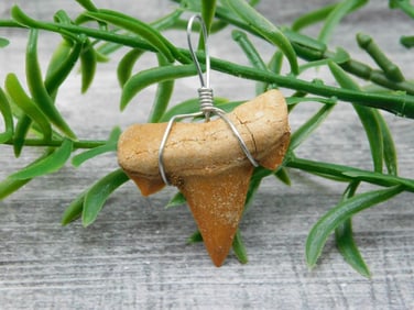 SPECIAL JEWELRY SALE! SEE PHOTOS FOR DETAILS