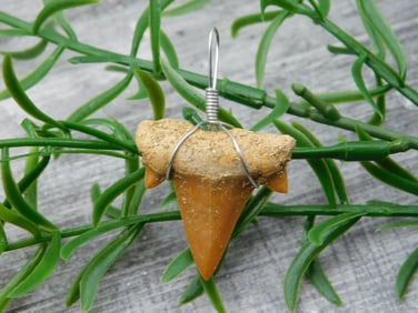 SPECIAL JEWELRY SALE! SEE PHOTOS FOR DETAILS